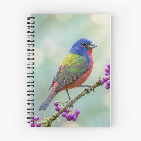 Item preview, Painted Bunting on a Beautyberry Branch designed and sold by Tridentulus.