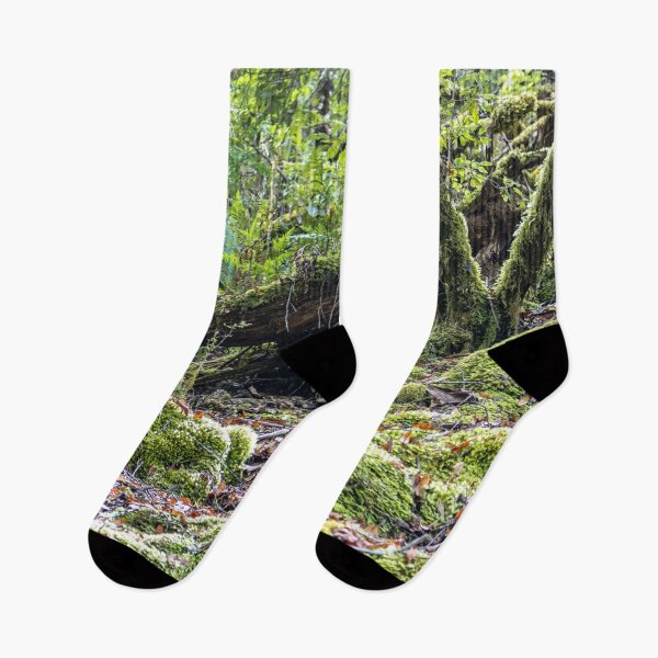 Item preview, Mossy green trees designed and sold by Nightscapes.