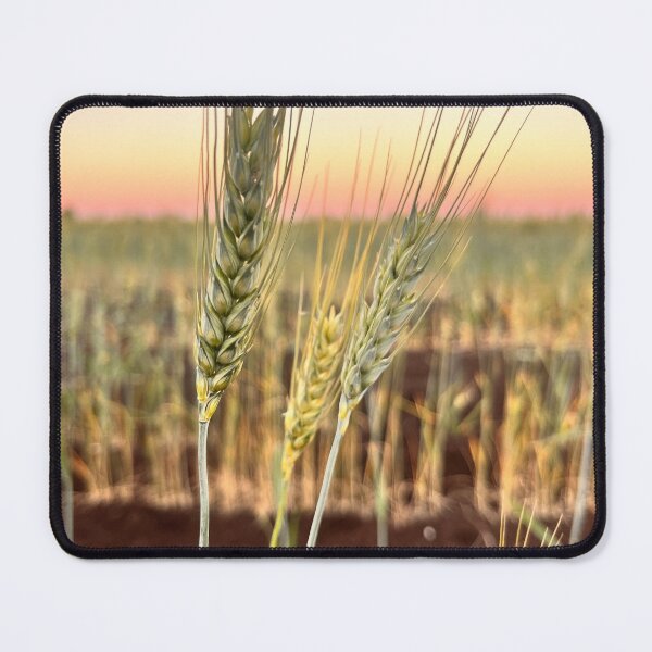 Item preview, Wheat Field at Sunset designed and sold by thegindielady.