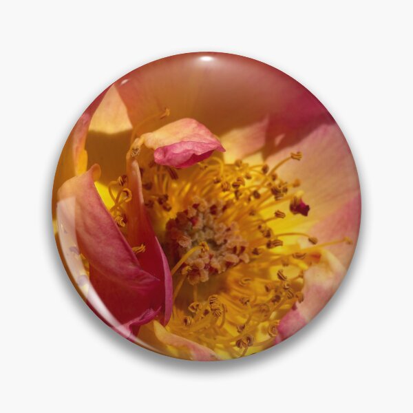 Item preview, Rose Magic designed and sold by Betsy Phillips.