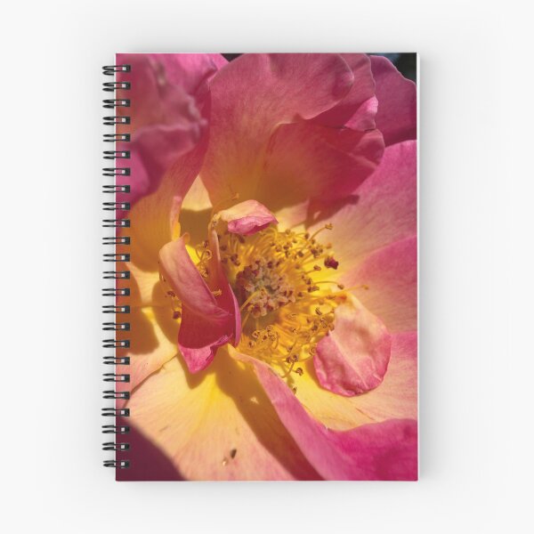 Item preview, Rose Magic designed and sold by Betsy Phillips.