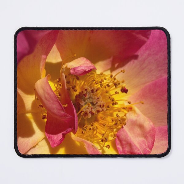 Item preview, Rose Magic designed and sold by Betsy Phillips.