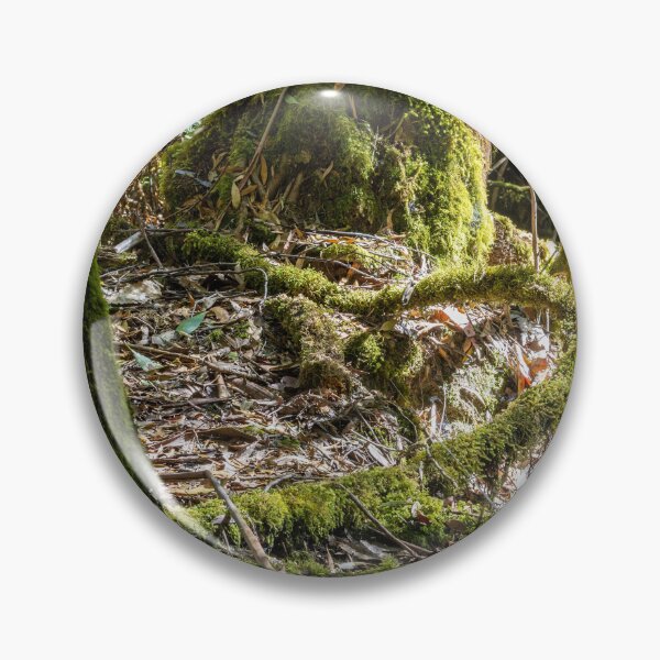 Item preview, Mossy roots in a rainforest designed and sold by Nightscapes.