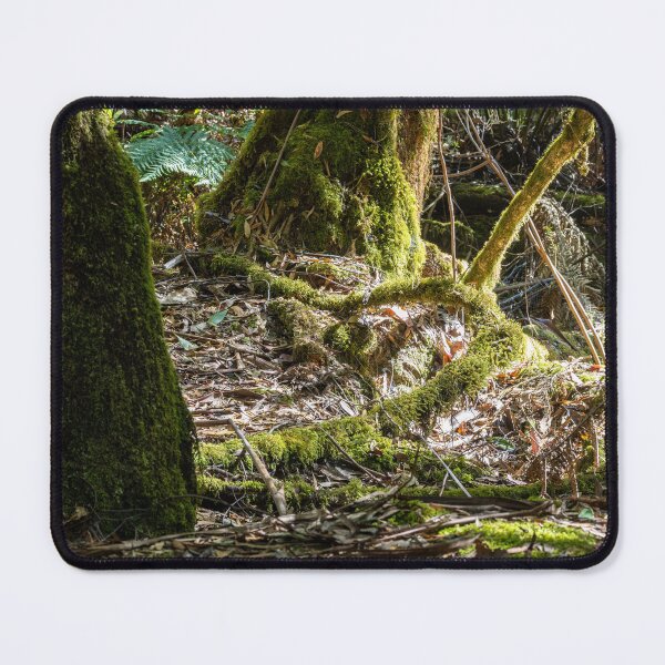 Item preview, Mossy roots in a rainforest designed and sold by Nightscapes.