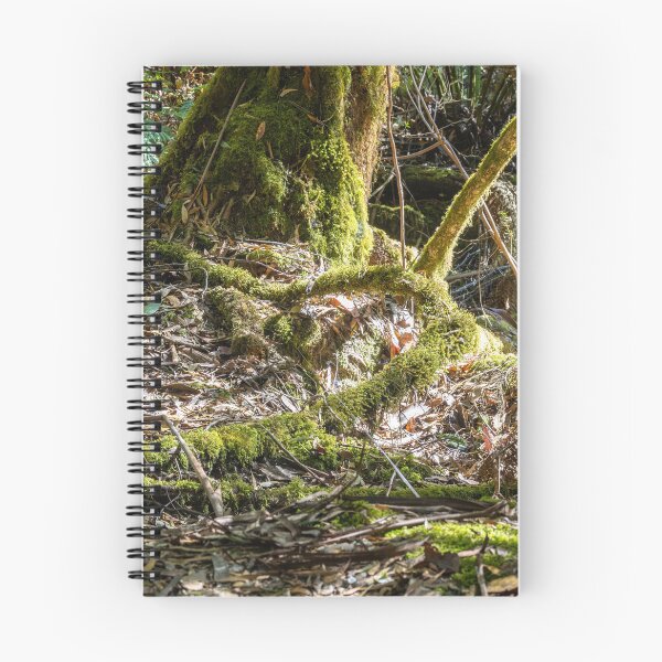 Item preview, Mossy roots in a rainforest designed and sold by Nightscapes.