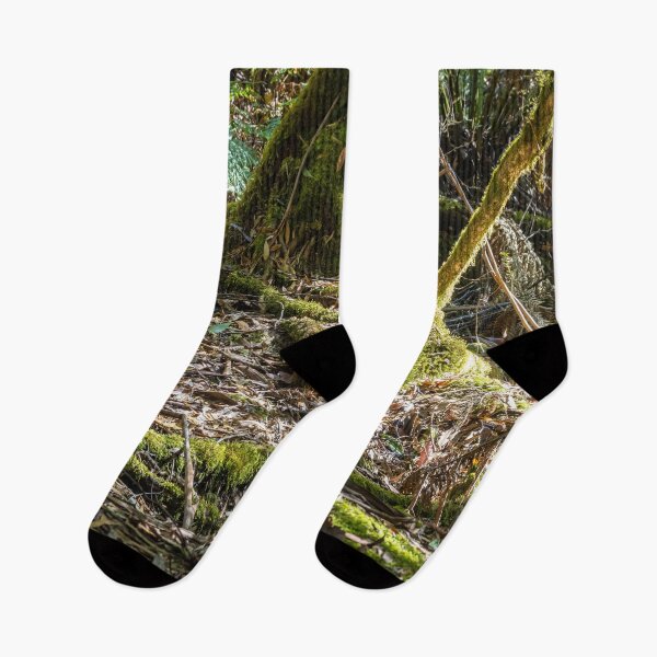 Item preview, Mossy roots in a rainforest designed and sold by Nightscapes.
