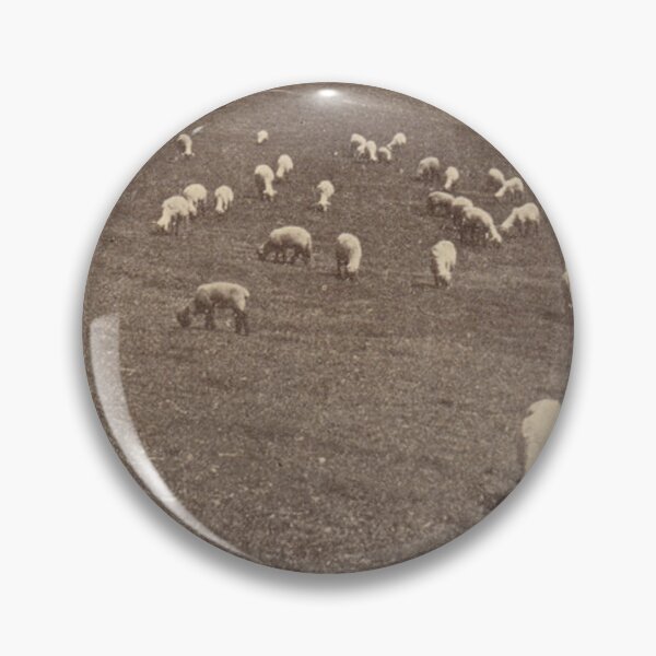 Item preview, Greystone Park Psychiatric Hospital Vintage Postcard – Sheep Pasture designed and sold by GhostlyWorld.