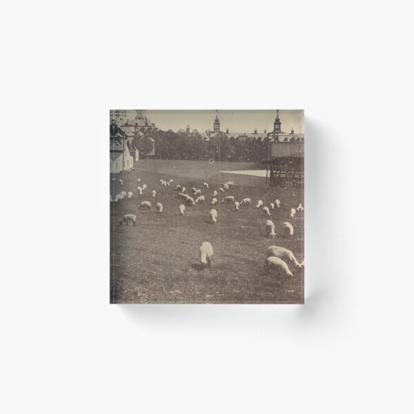 Item preview, Greystone Park Psychiatric Hospital Vintage Postcard – Sheep Pasture designed and sold by GhostlyWorld.