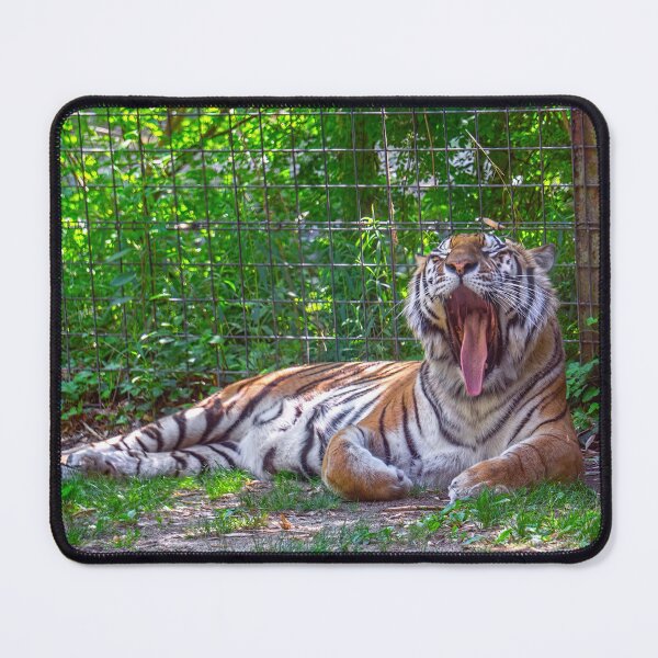 Item preview, The Big Yawn designed and sold by Lanis Rossi.