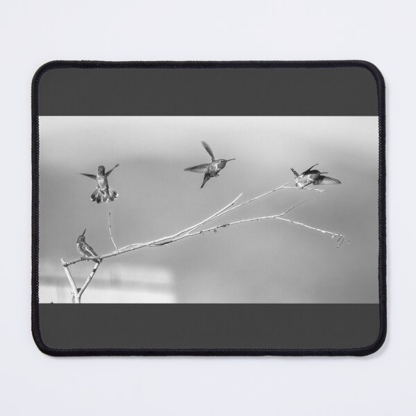 Item preview, Hummingbirds in Black and White designed and sold by CarolM.