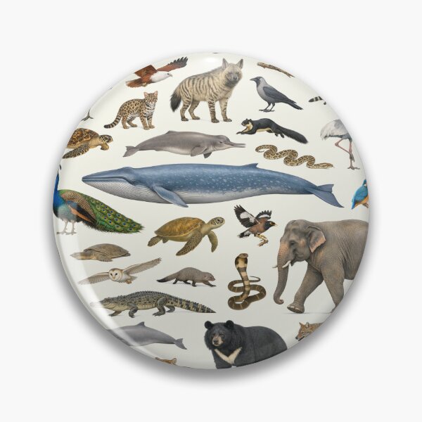 Item preview, Animals of Bangladesh Retro Style Identification Chart designed and sold by kakarikihill.