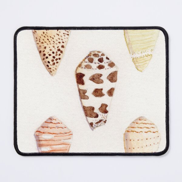 Item preview, Collection of five watercolor cone shells designed and sold by KPierceArt.