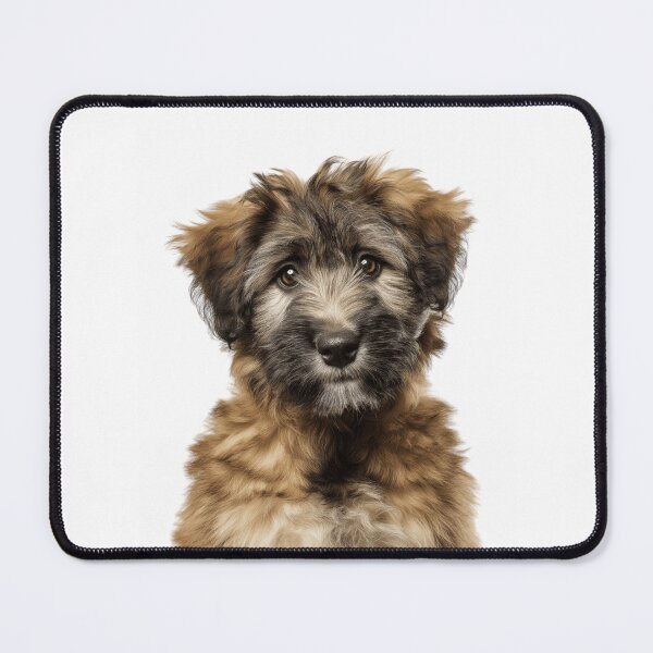 Item preview, Adorable Bouvier des Flandres Pup for Cute Bouvier dog puppy lovers designed and sold by LazyOwlStore.