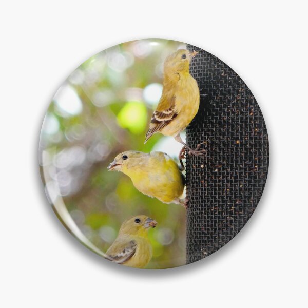 Item preview, Three Little Diners: Goldfinches at the Feeder designed and sold by sky earth human.