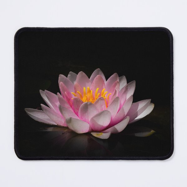 Item preview, Water Lily Flower designed and sold by Ralph Goldsmith.