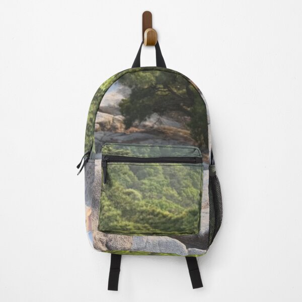 Item preview, Frozen 99 Cents Only Stores aPeak Journey designed and sold by Tonigard.