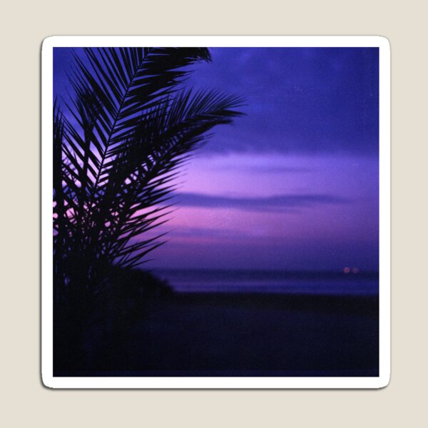 Palm tree on beach Ibiza silhouette against dusk sunset sky square medium format film analogue photos Magnet
