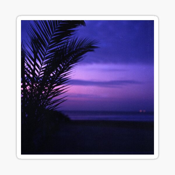Palm tree on beach Ibiza silhouette against dusk sunset sky square medium format film analogue photos Sticker
