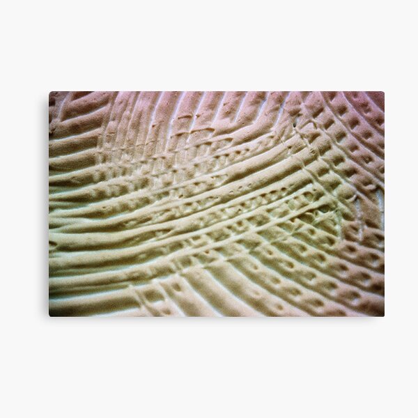 Concrete Canvas Print