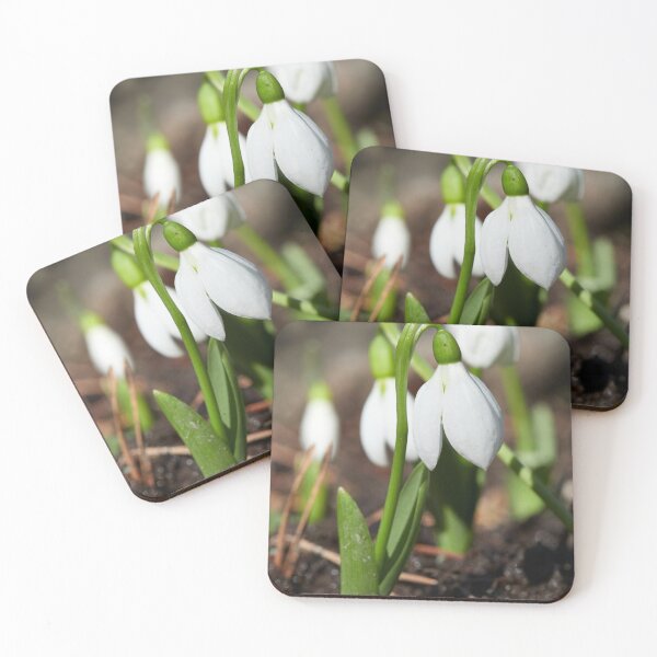 Item preview, Snowdrop flowers designed and sold by Jouko Lehto Photography.