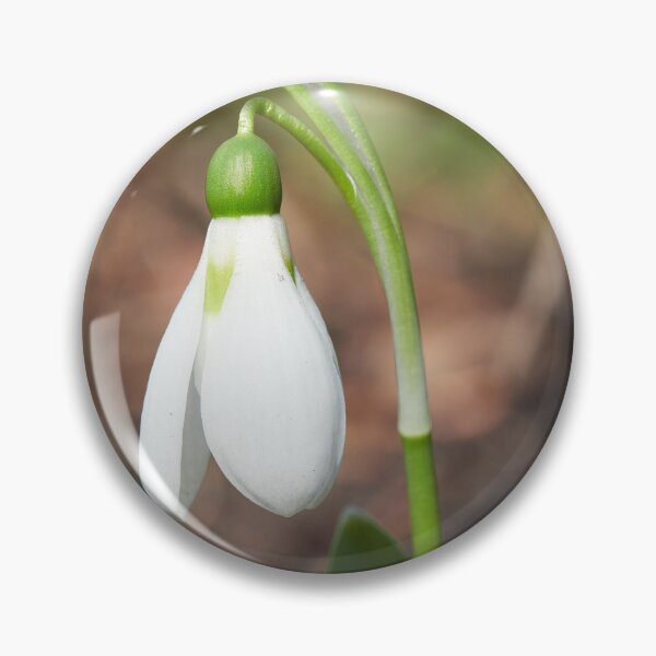Item preview, Snowdrop single designed and sold by Jouko Lehto Photography.