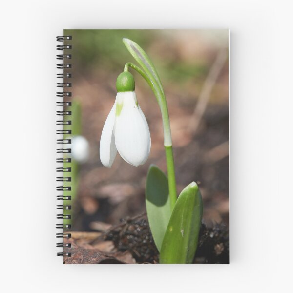 Item preview, Snowdrop single designed and sold by Jouko Lehto Photography.