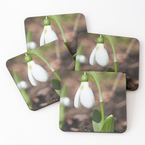 Item preview, Snowdrop single designed and sold by Jouko Lehto Photography.