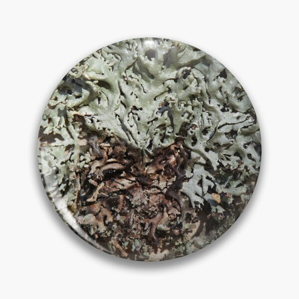 Item preview, Natural abstract. Tube Lichen designed and sold by Jouko Lehto Photography.