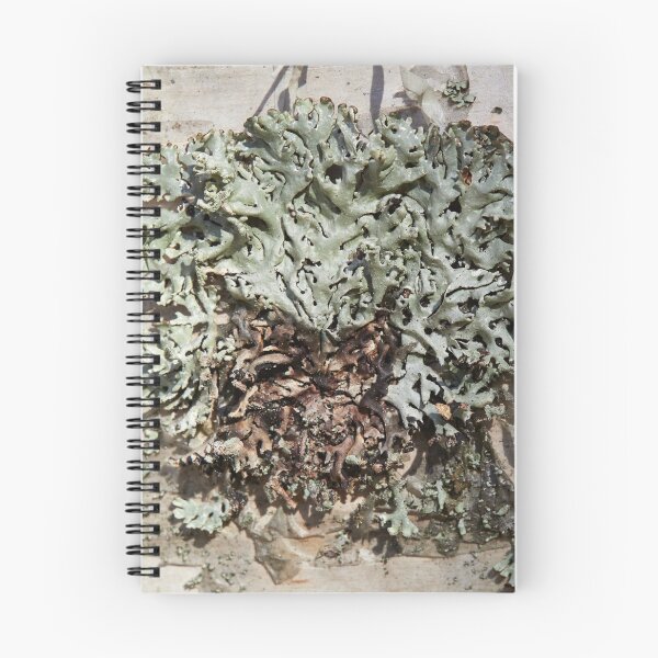 Item preview, Natural abstract. Tube Lichen designed and sold by Jouko Lehto Photography.