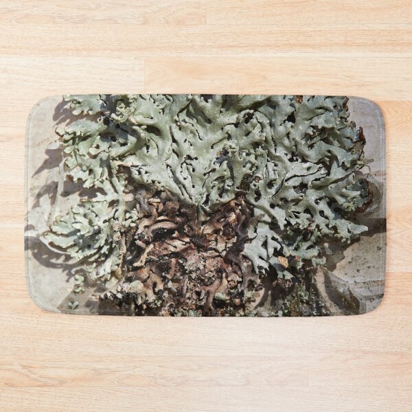 Item preview, Natural abstract. Tube Lichen designed and sold by Jouko Lehto Photography.