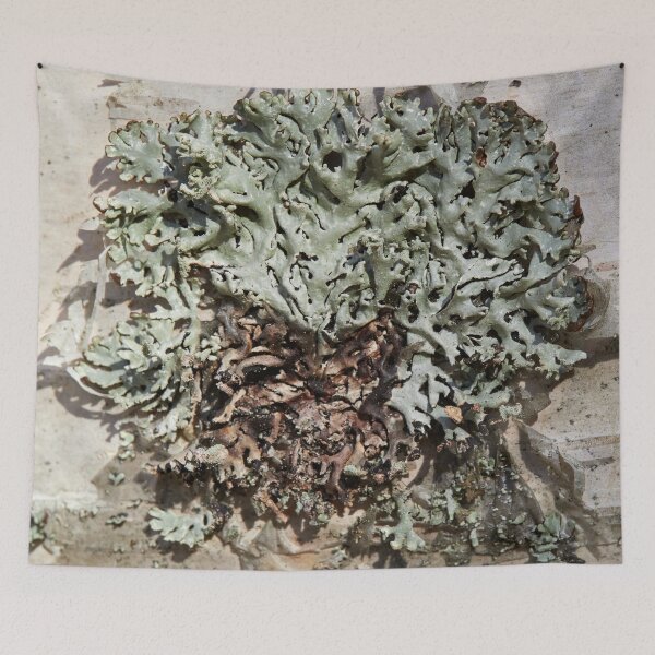 Item preview, Natural abstract. Tube Lichen designed and sold by Jouko Lehto Photography.