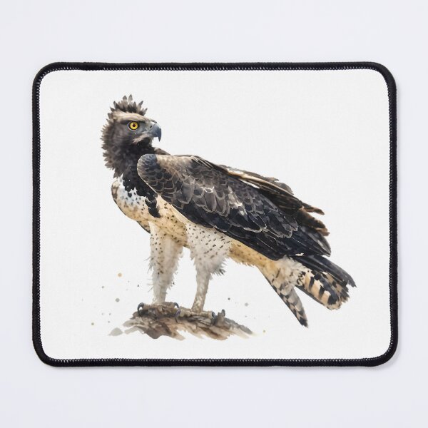 Item preview, Martial Eagle designed and sold by HOMETOWN86.