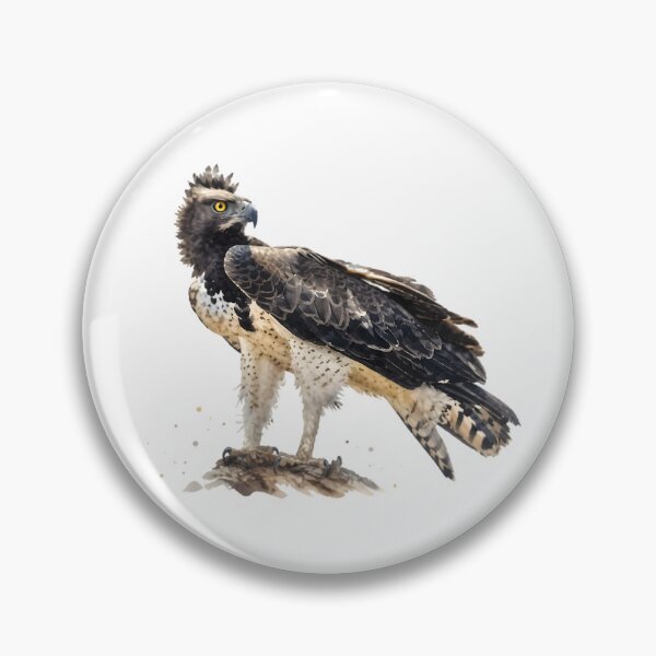 Item preview, Martial Eagle designed and sold by HOMETOWN86.