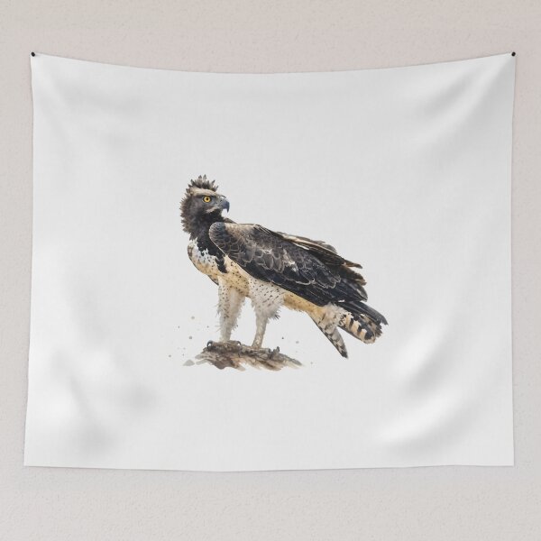 Item preview, Martial Eagle designed and sold by HOMETOWN86.