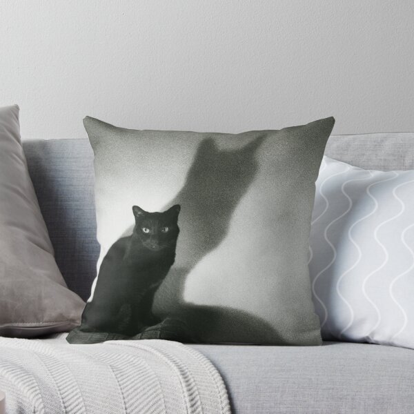 Item preview, Portrait of black cat on sofa film noir chiaro scuro black and white square silver gelatin film analog photo designed and sold by edwardolive.