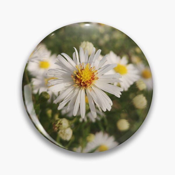 Item preview, White aster wildflower  designed and sold by Kainicram.