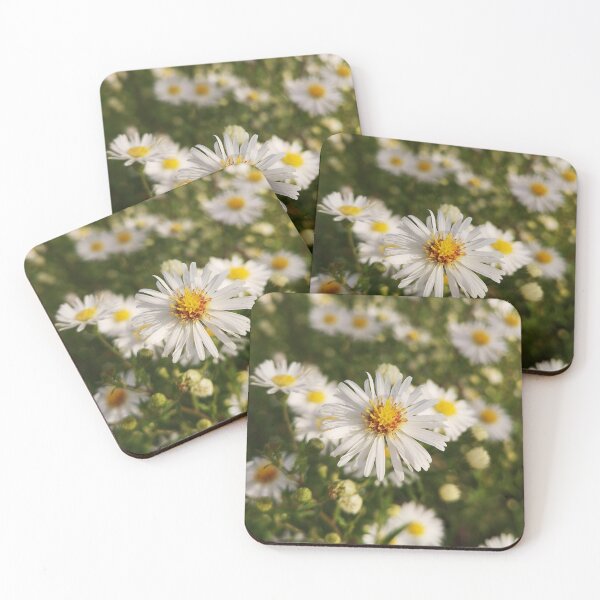 Item preview, White aster wildflower  designed and sold by Kainicram.
