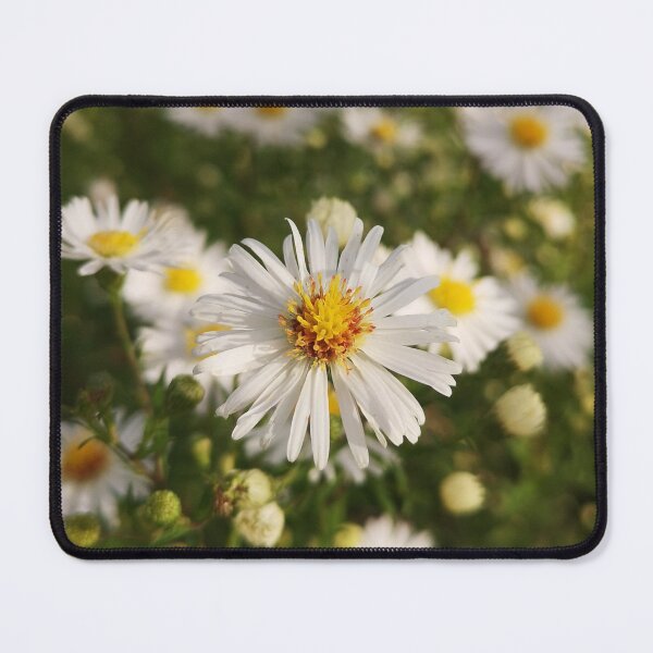 Item preview, White aster wildflower designed and sold by Kainicram.