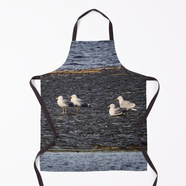 Item preview, On the black ice. European herring gull. Spring 2026 designed and sold by Jouko Lehto Photography.