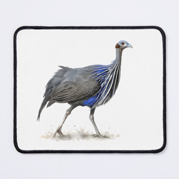 Item preview, Vulturine Guineafowl designed and sold by HOMETOWN86.