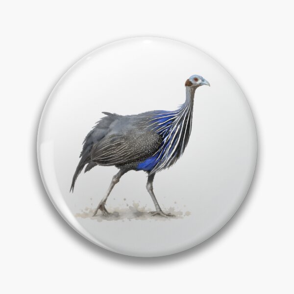 Item preview, Vulturine Guineafowl designed and sold by HOMETOWN86.