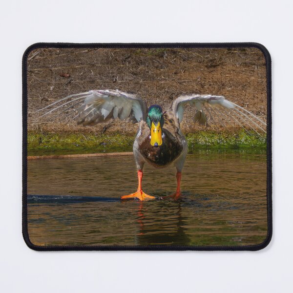 Item preview, Avenging Anatidae designed and sold by Ralph Goldsmith.