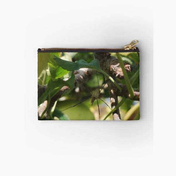 Item preview, Harvestman spider on apple tree branch  designed and sold by Kainicram.
