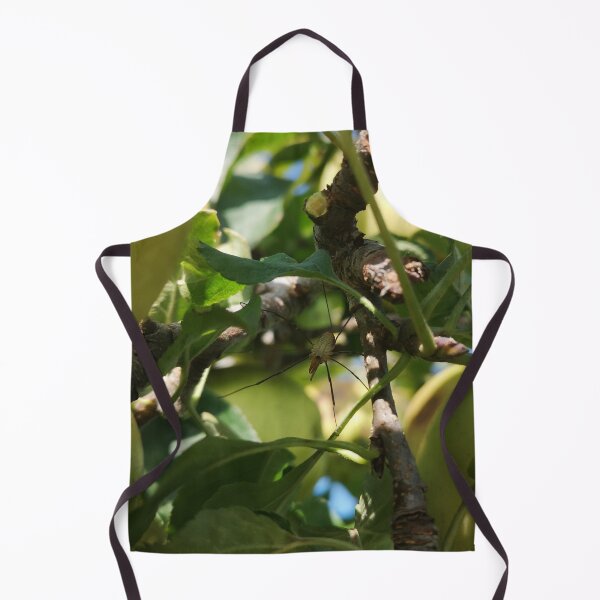 Item preview, Harvestman spider on apple tree branch designed and sold by Kainicram.