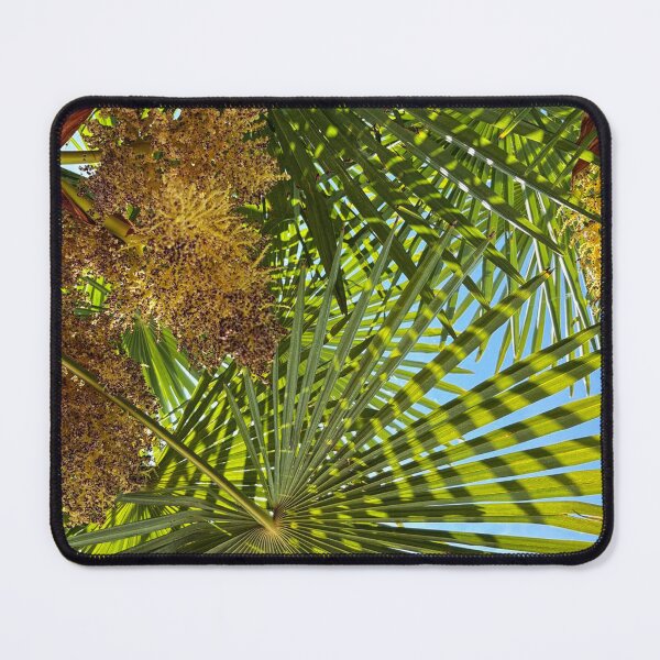Item preview, Palm Fronds against a clear Blue Sky designed and sold by Violaman.