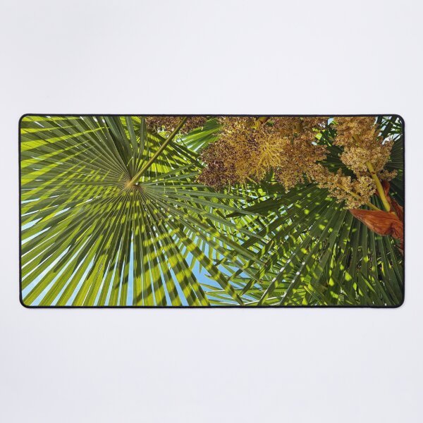 Item preview, Palm Fronds against a clear Blue Sky designed and sold by Violaman.