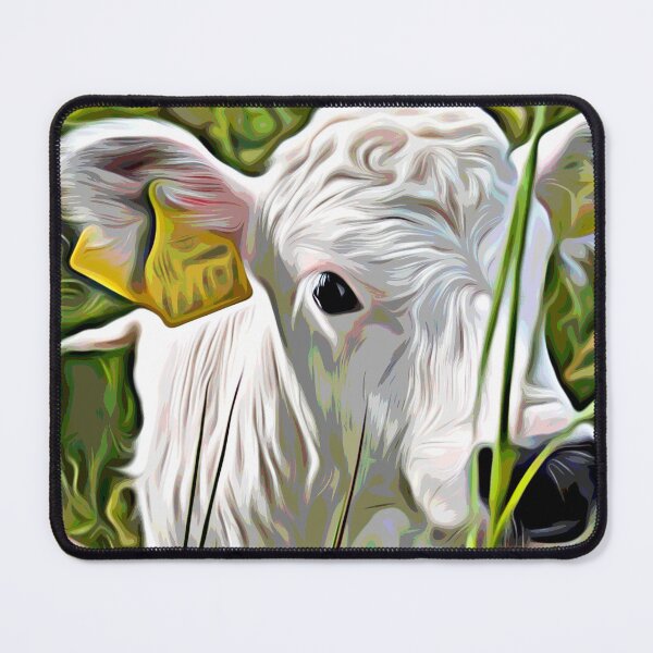 Item preview, White Galloway Calf designed and sold by KeithWelters.