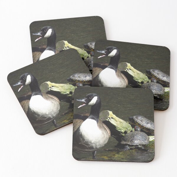 Item preview, Canada Goose & a Pair of Terrapins designed and sold by wiggyofipswich.