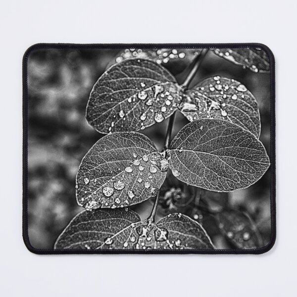 Item preview, Morning dew on leaves designed and sold by AsahiNoAme.