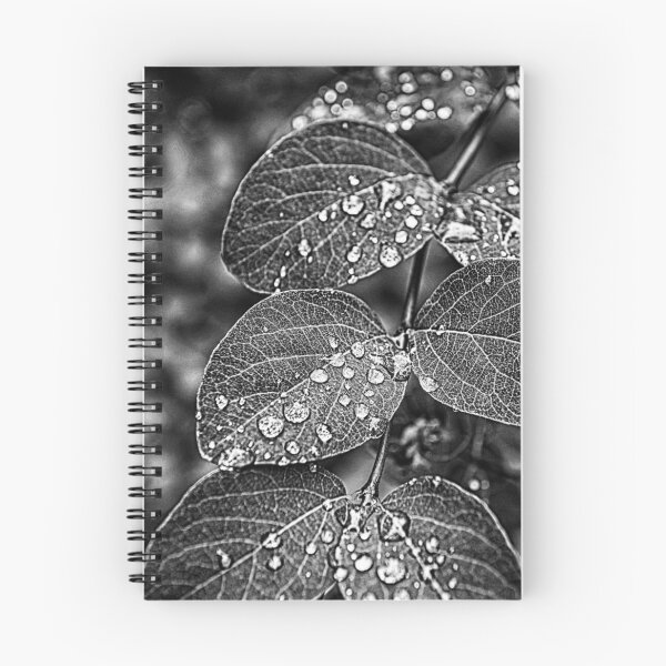 Item preview, Morning dew on leaves designed and sold by AsahiNoAme.